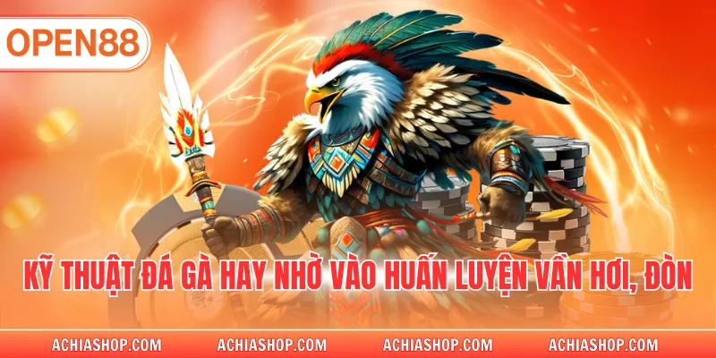 Kỹ thuật đá gà hay nhờ vào huấn luyện vần hơi, đòn